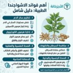 أهم فوائد الاشواجندا
