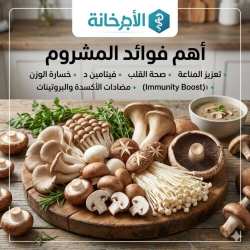 أهم فوائد المشروم